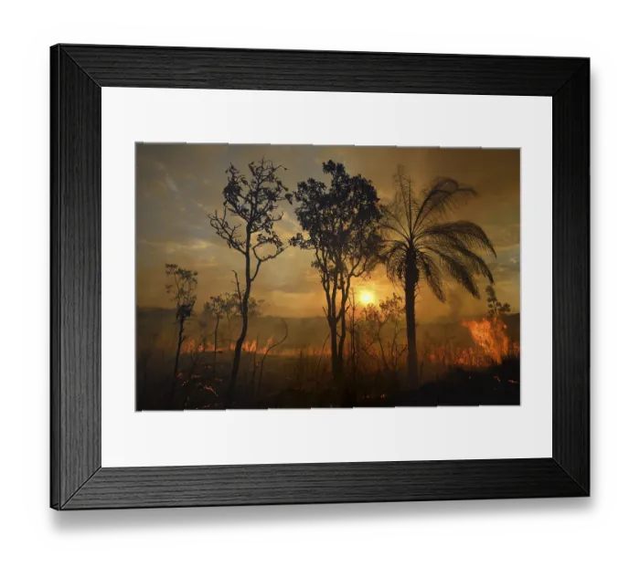 Framed Print : Burning vegetation in a bushfire at sunset
