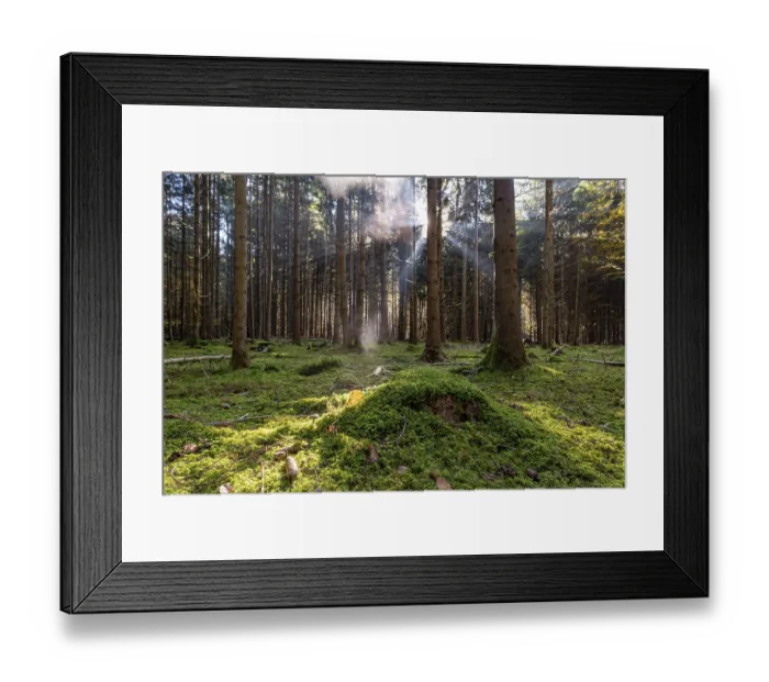 Framed Print : Rays of sunlight falling through the early morning mist