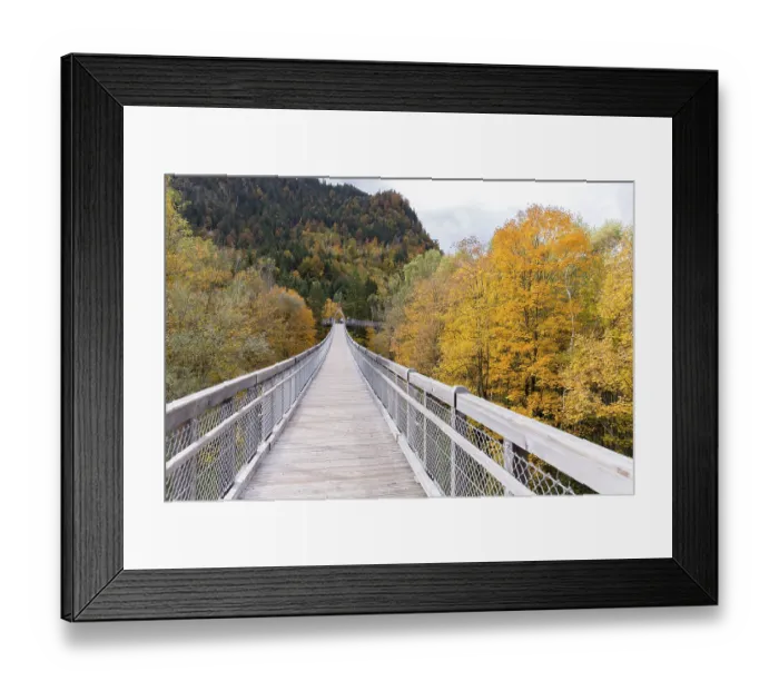 Framed Print : Treetop walk over the autumn forest at Forest Experience Centre Ziegelwiesen Framed Print : Treetop walk over the autumn forest at Forest Experience Centre Ziegelwiesen