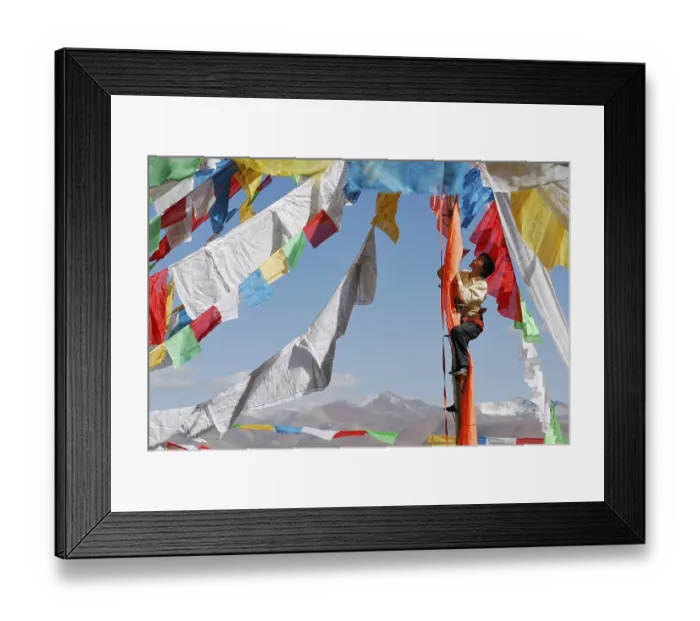 Framed Print : Tibetan pilgrim hanging prayer flags for the upcoming ceremony at Namtso Lake
