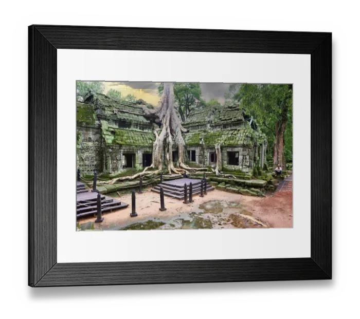 Framed Print : Roots of a spung running along the jungle temples of Ta Prohm
