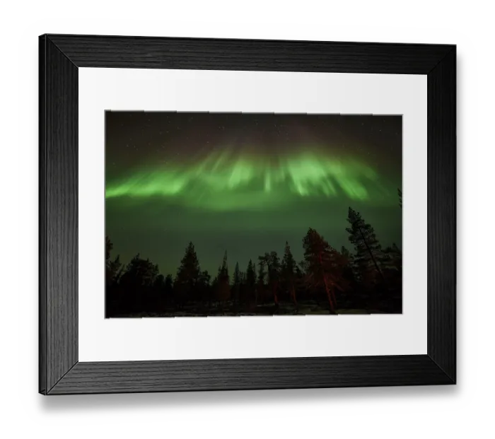 Framed Print : Northern Lights (Aurora borealis) over trees Framed Print : Northern Lights (Aurora borealis) over trees