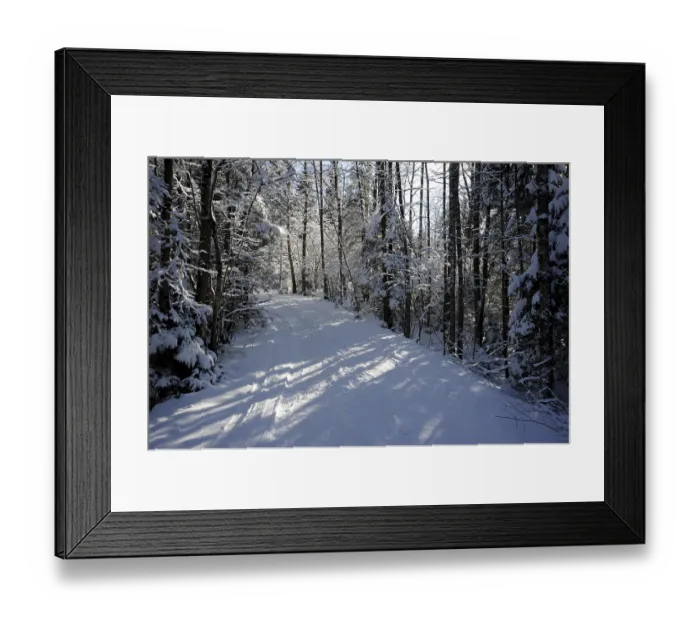 Framed Print : Path in a in winter forest