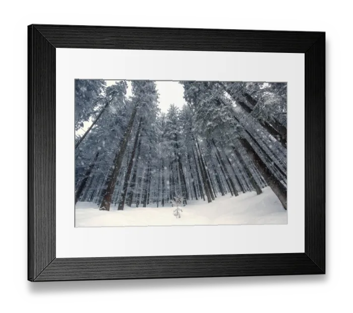 Framed Print : Winter forest with snowfall, Bavaria