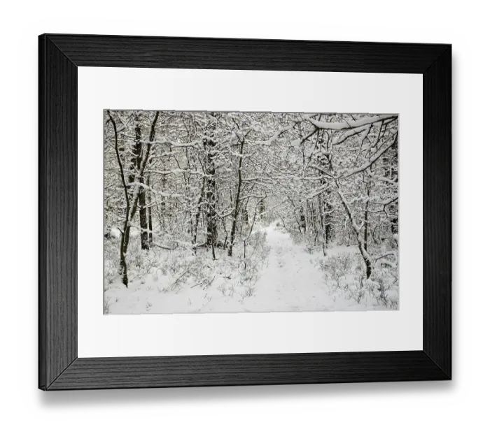 Framed Print : Path through snow covered woods