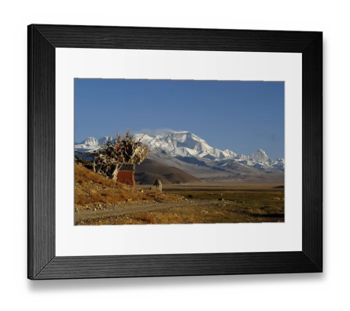 Framed Print : Tibetan choerten with prayer flags in front of the snowy mountain Cho Oyo