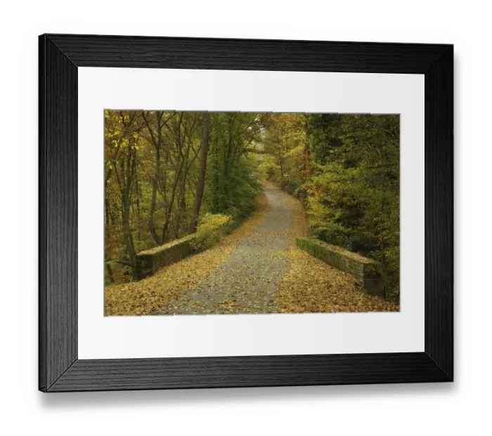 Framed Print : Weg im Herbstwald, Weg im Herbstwald