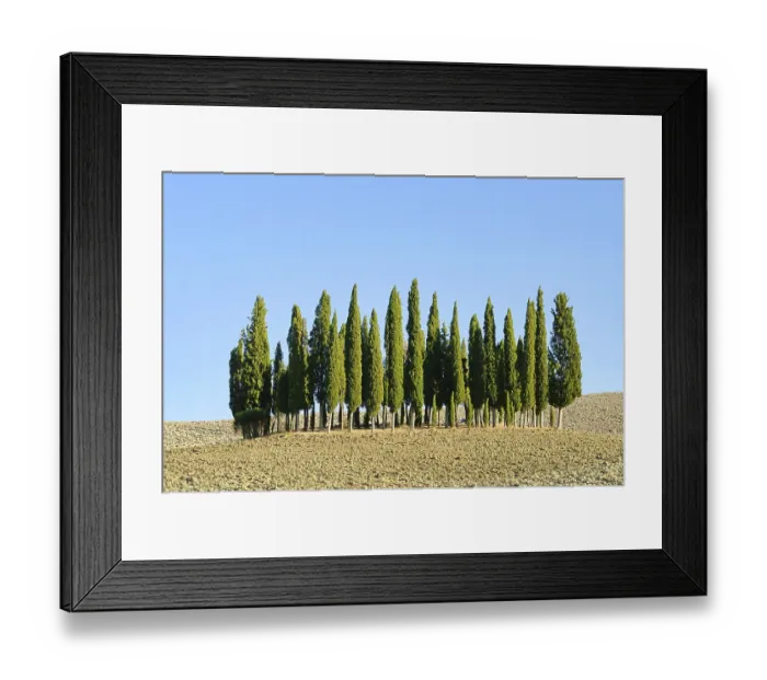 Framed Print : Tuscany forest in autumn, Tuscany forest in fall 03