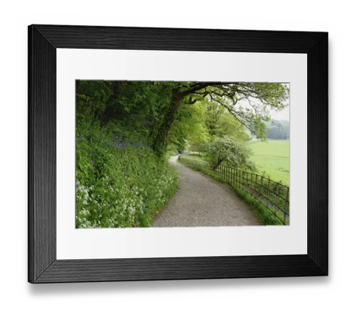 Framed Print : Hiking trail in Penrose, near Porthleven Framed Print : Hiking trail in Penrose, near Porthleven