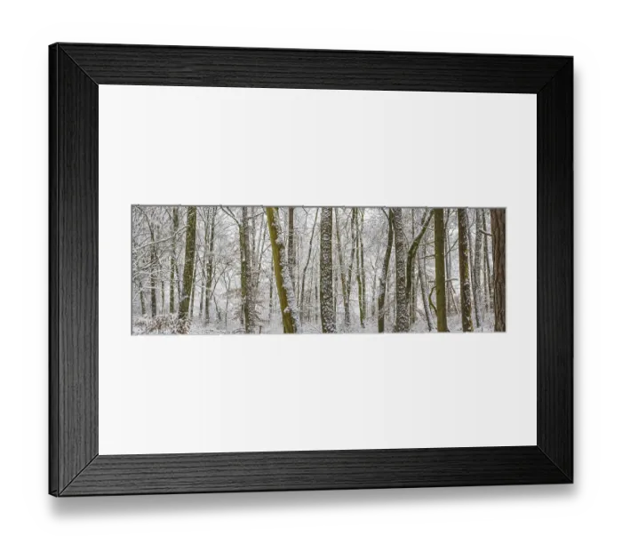 Framed Print : Winter forest, Swabian Alb, Baden-Wuerttemberg