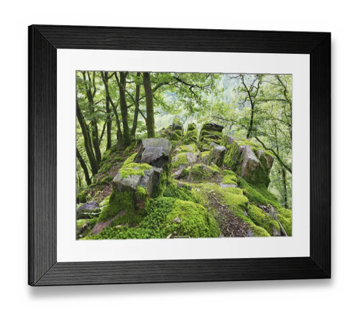 Framed Print : Moss-covered rock formation in the forest consists of large Framed Print : Moss-covered rock formation in the forest consists of large