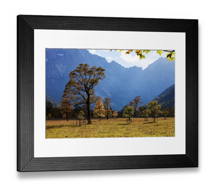 Framed Print : Maples (Acer) in autumn, Grosser Ahornboden Framed Print : Maples (Acer) in autumn, Grosser Ahornboden