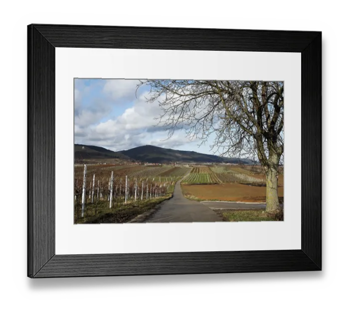 Framed Print : View of Burrweiler
