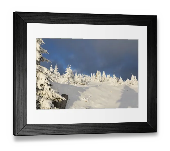 Framed Print : Winterwald, Winter forest Framed Print : Winterwald, Winter forest