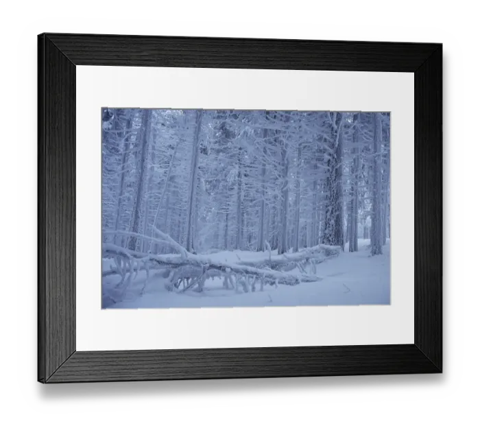 Framed Print : Winter landscape, Brocken, Harz Mountains