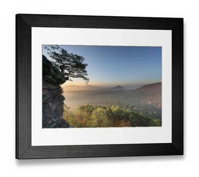 Framed Print : Palatinate Forest, morning mood