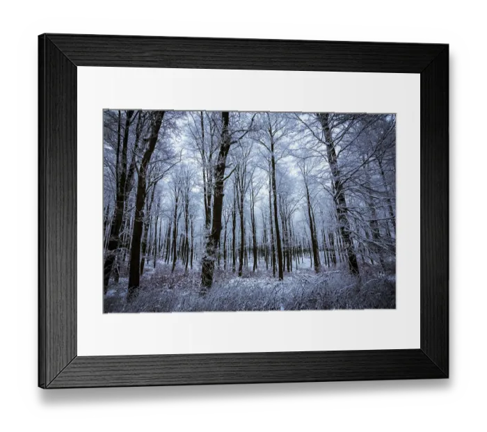 Framed Print : Silent winter forest