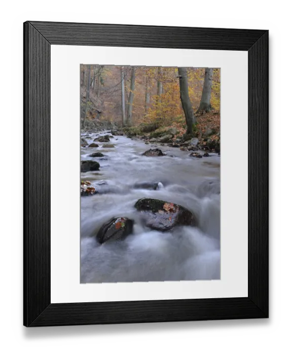 Framed Print : Rocks covered with foliage in the Ilse river
