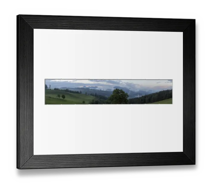 Framed Print : Evening mood, trees in a meadow