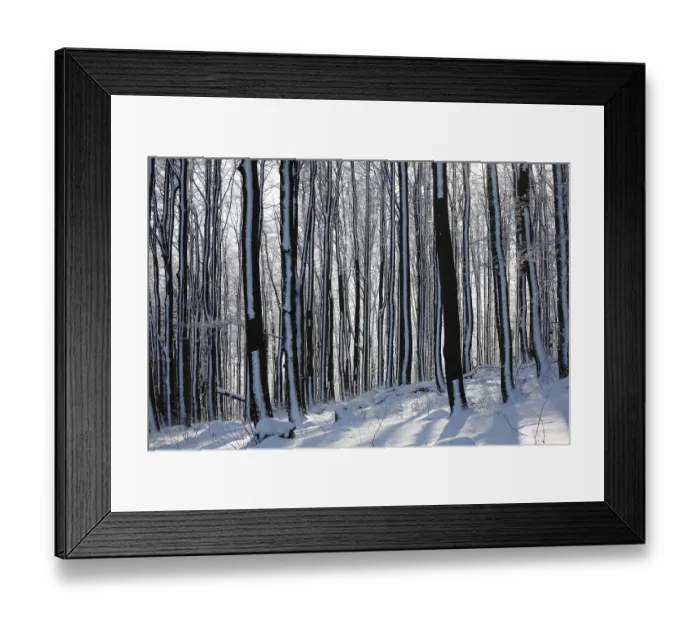 Framed Print : Wintry deciduous forest, Mt. Kreuzberg near Bischofsheim