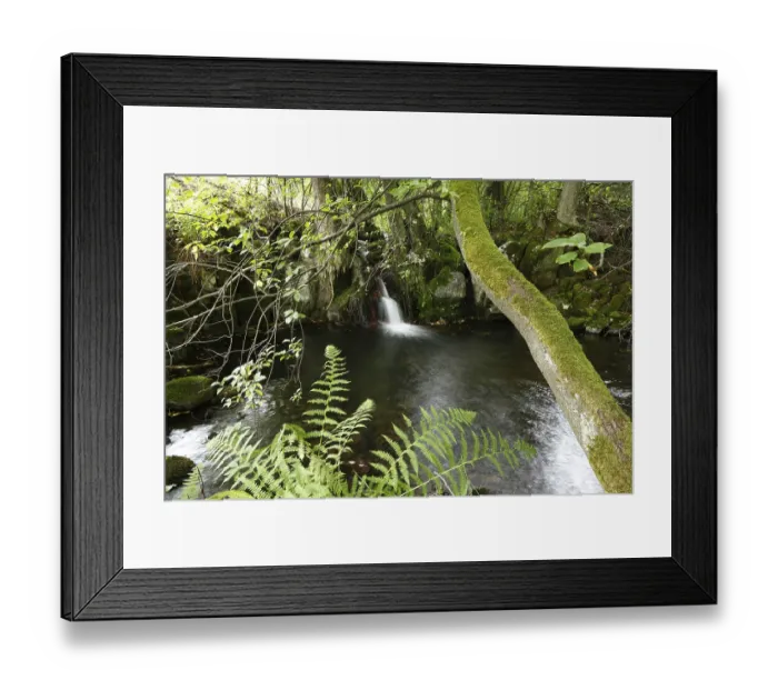 Framed Print : Mermaid's pond, Nixenteich am Oberelsbacher Graben