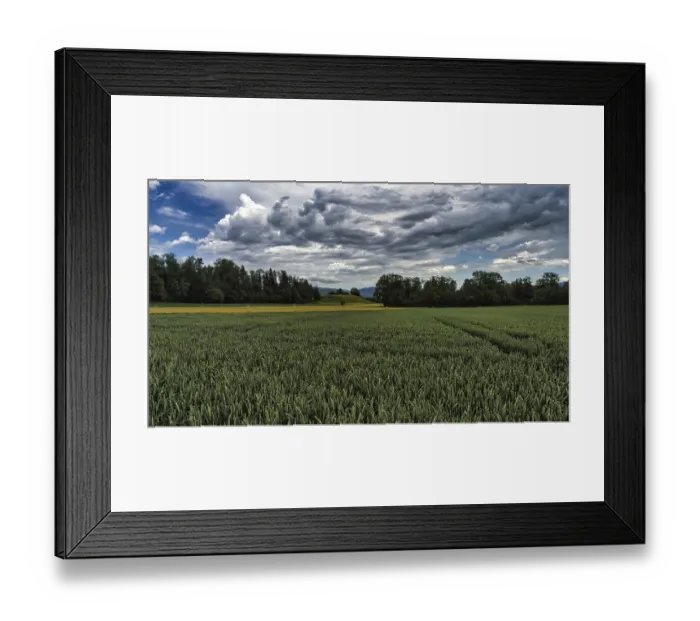 Framed Print : Panorama, cornfield, forest, hill and cloudy sky