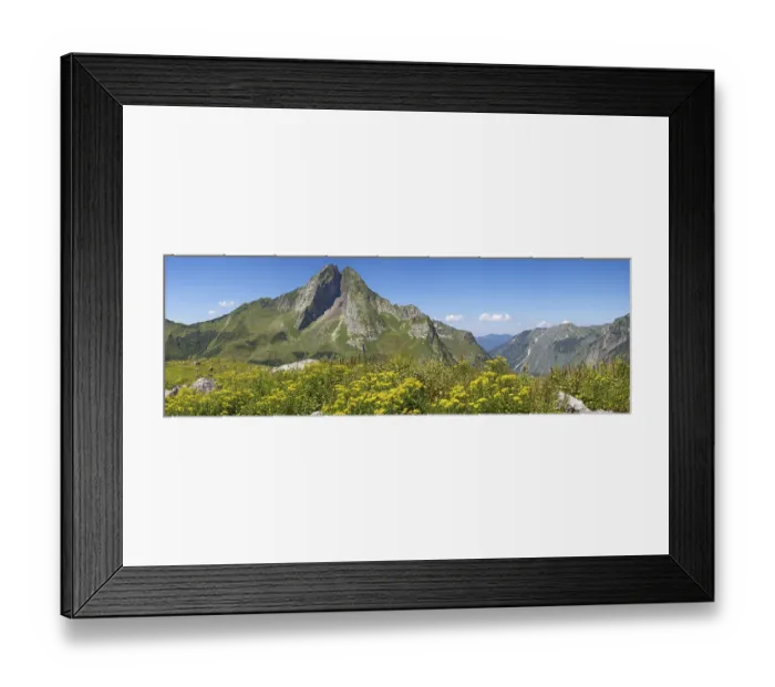Framed Print : Wood Ragwort (Senecio ovatus), behind it the Hoefats