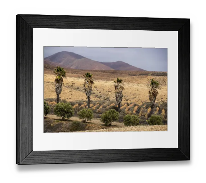 Framed Print : Palm trees in front of bare landscape Framed Print : Palm trees in front of bare landscape
