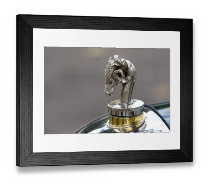 Framed Print : Hood ornament, vintage car meeting