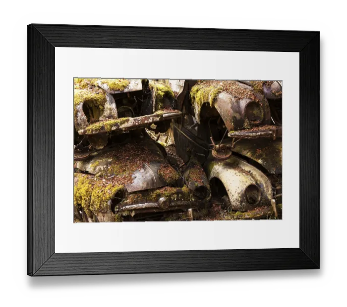 Framed Print : Rusty old vintage cars, scrap yard