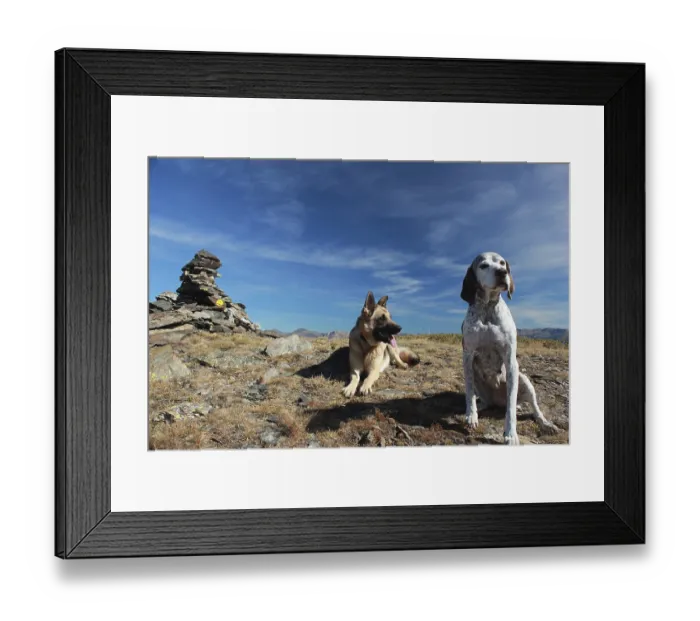 Framed Print : Two dogs resting on a mountain with a clear blue sky