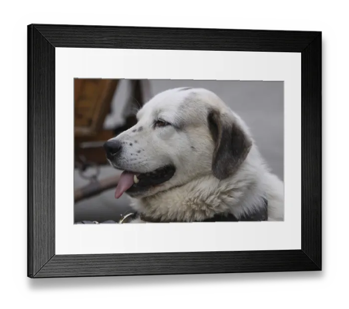 Framed Print : Owtscharka Framed Print : Owtscharka