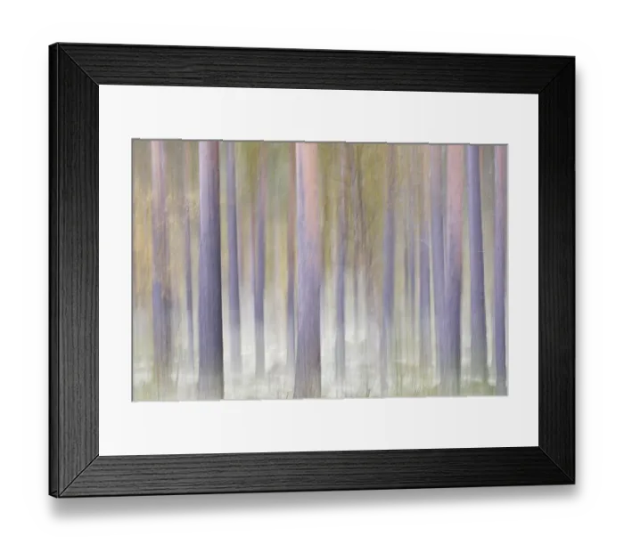 Framed Print : Forest in autumn, abstract, near Strombu