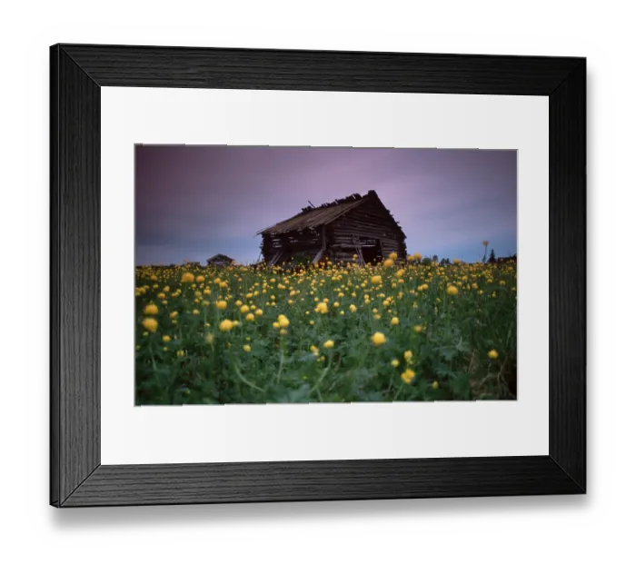 Framed Print : Old barn in Flower Meadow, Finland, Europe