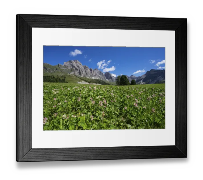Framed Print : View from Col Raiser, Odle mountain range with mountains Fermeda