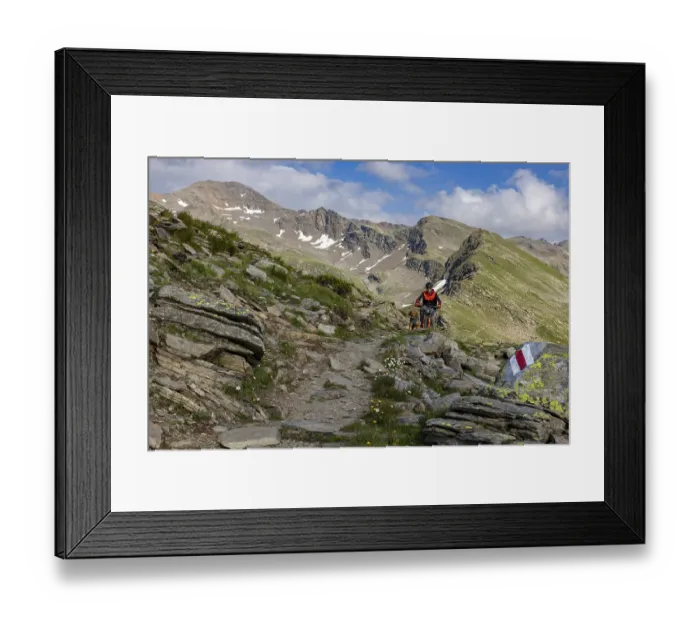 Framed Print : Mountain biker with traildog, man with Vizsla dog on a bike trail