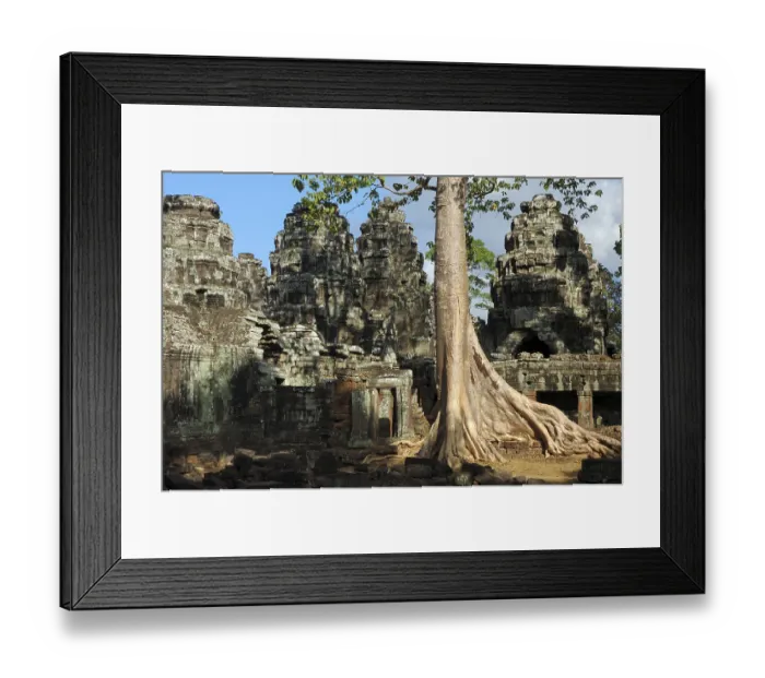 Framed Print : Massive roots growing on the ruins of Banteay Kdei temple