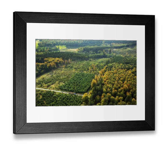 Framed Print : Forest workers, tree felling and forest management