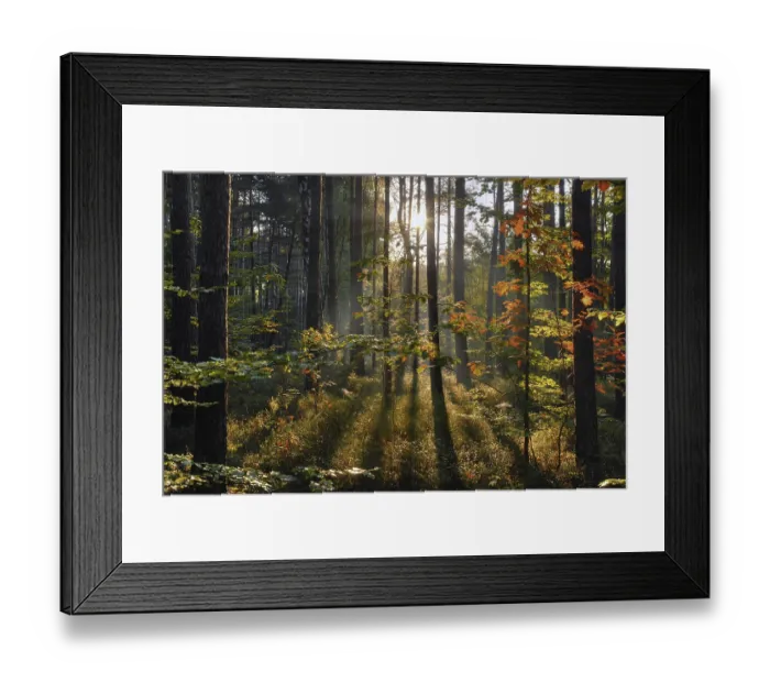 Framed Print : Forest landscape in Franconian Switzerland in Franconia in Bavaria in Germany Framed Print : Forest landscape in Franconian Switzerland in Franconia in Bavaria in Germany
