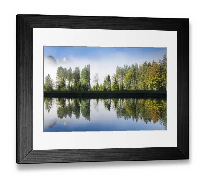 Framed Print : Almsee lake, trees with reflection in autumn