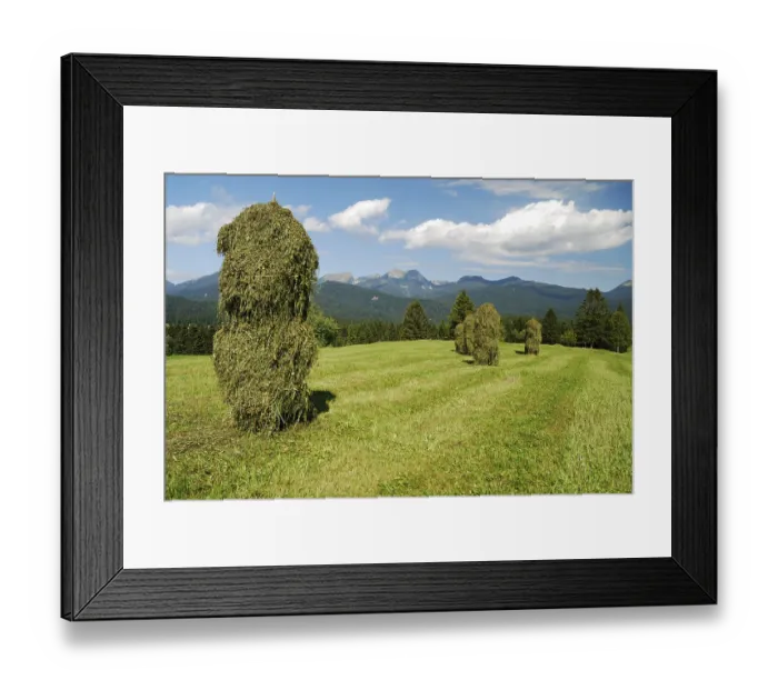 Framed Print : Haystacks in the alps of Bavaria Germany