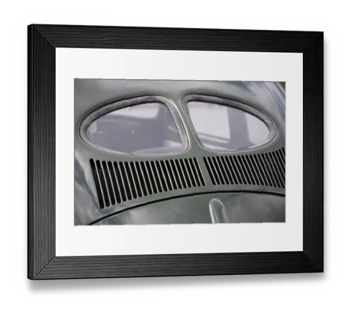 Framed Print : Ancient beetle in military green