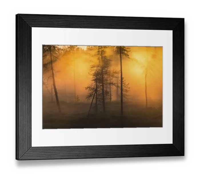 Framed Print : Evening fog in Stubba Nature Reserve