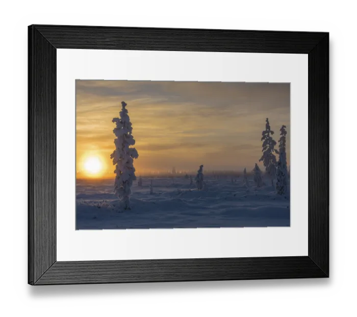 Framed Print : Foggy mood, Muddus National Park