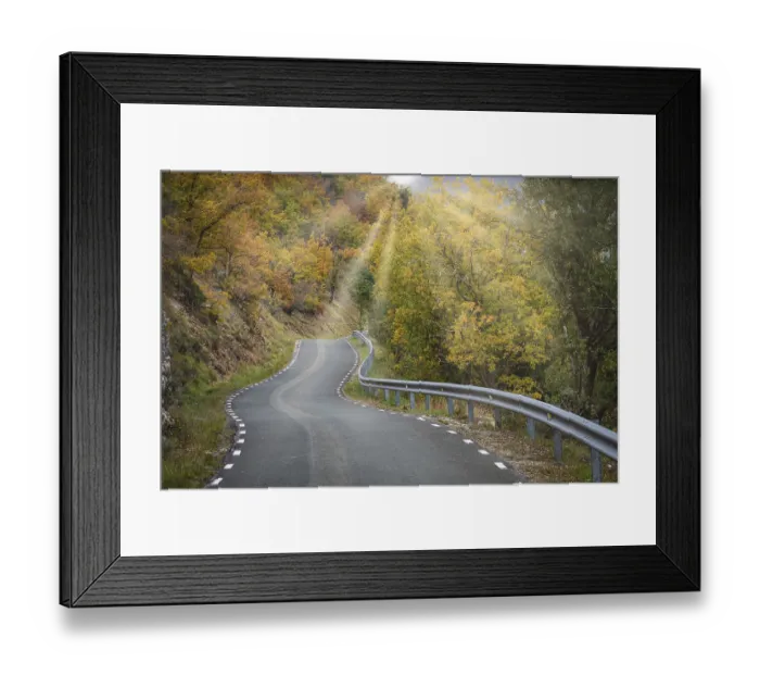 Framed Print : Road crossing an oak grove in autumn