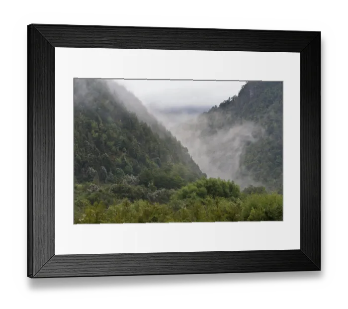 Framed Print : Misty valley at the Kahurangi National Park