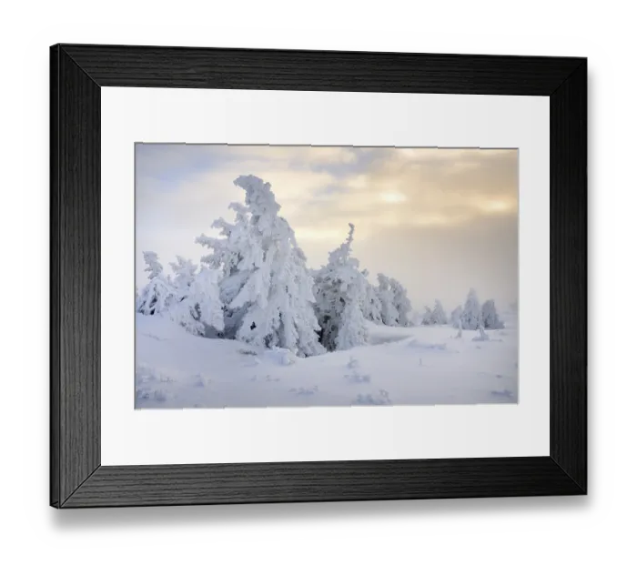 Framed Print : Winter on Mt. Brocken, Harz mountains Framed Print : Winter on Mt. Brocken, Harz mountains
