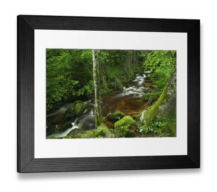 Framed Print : Ysper River, Ysper Gorge and forest
