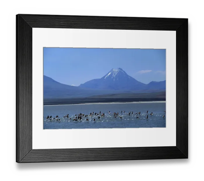 Framed Print : CHL, Chile, Atacama Desert: lake Laguna Verde