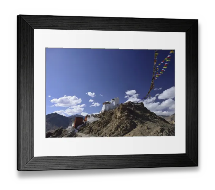 Framed Print : Tsemo Fort and Tsemo Gompa, Leh Framed Print : Tsemo Fort and Tsemo Gompa, Leh
